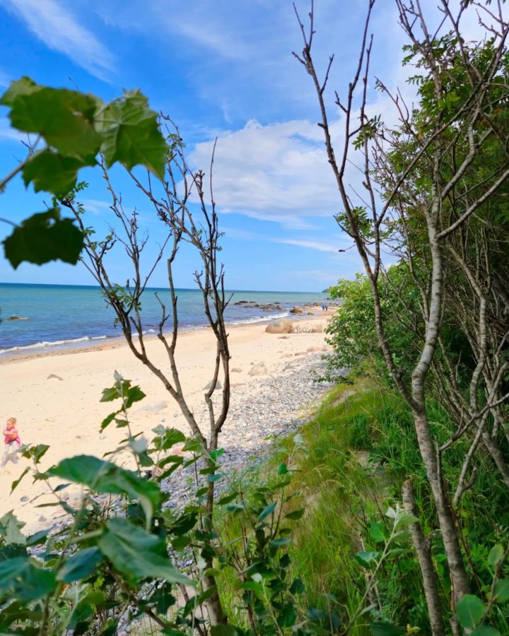 #summervibes at hidden #beach near #balticsea. #saltwater #summer2024 #oceanlife